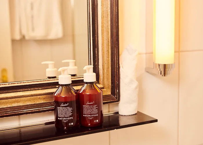 Hotel Small Luxury Ambassador Zurich