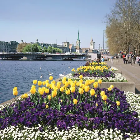 苏黎世小型豪华大使酒店 酒店 4*